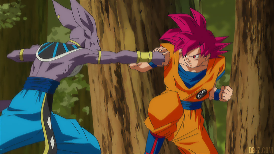 Dragon Ball Z Battle of Gods VF