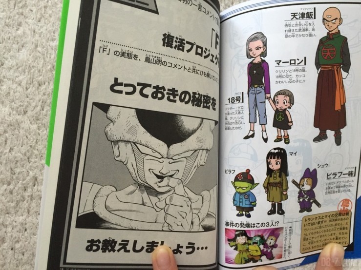 Dragon Ball Volume F 9