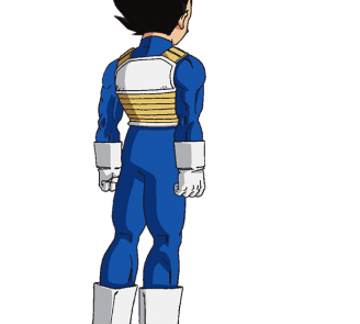 Dragon ball Super Vegeta back 328x295