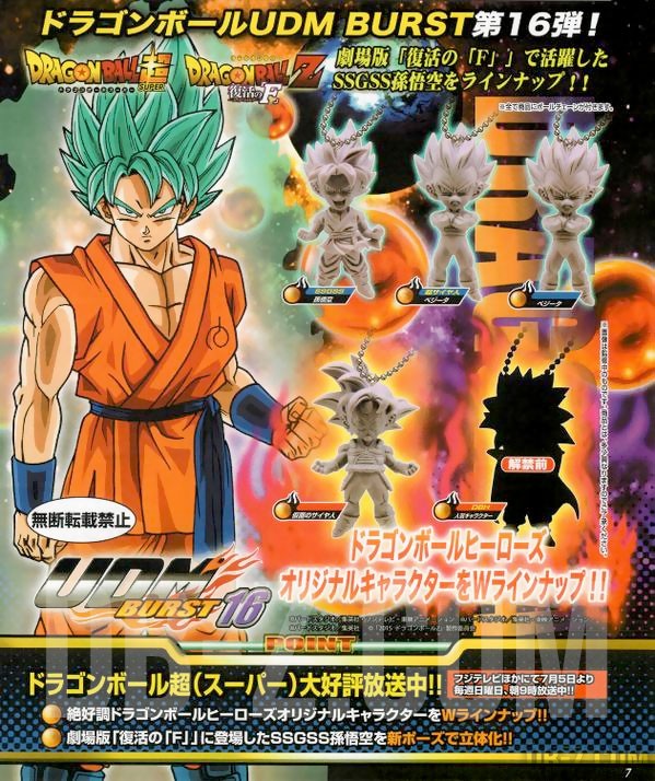 UDM Burst 16