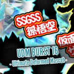 UDM Burst 16