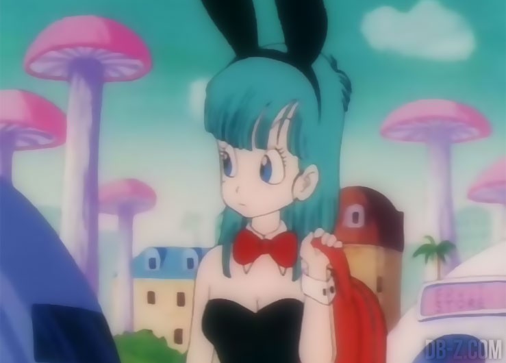 Bulma Bunny