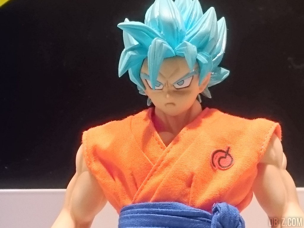 DOD Goku SSGSS