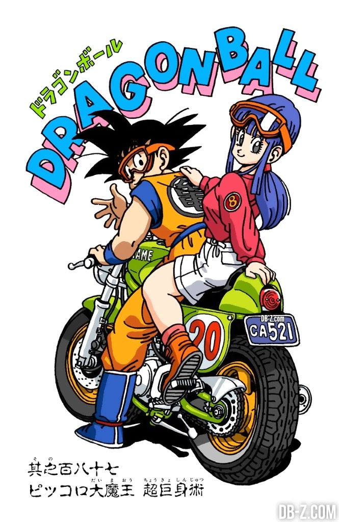 Goku & Chichi en moto