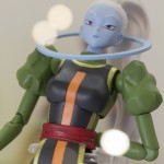 SHFiguarts Vados