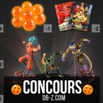 Concours Dragon Ball 2016