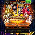 Dokkan Battle JAP Loterie Tenkaichi Budokai SSR