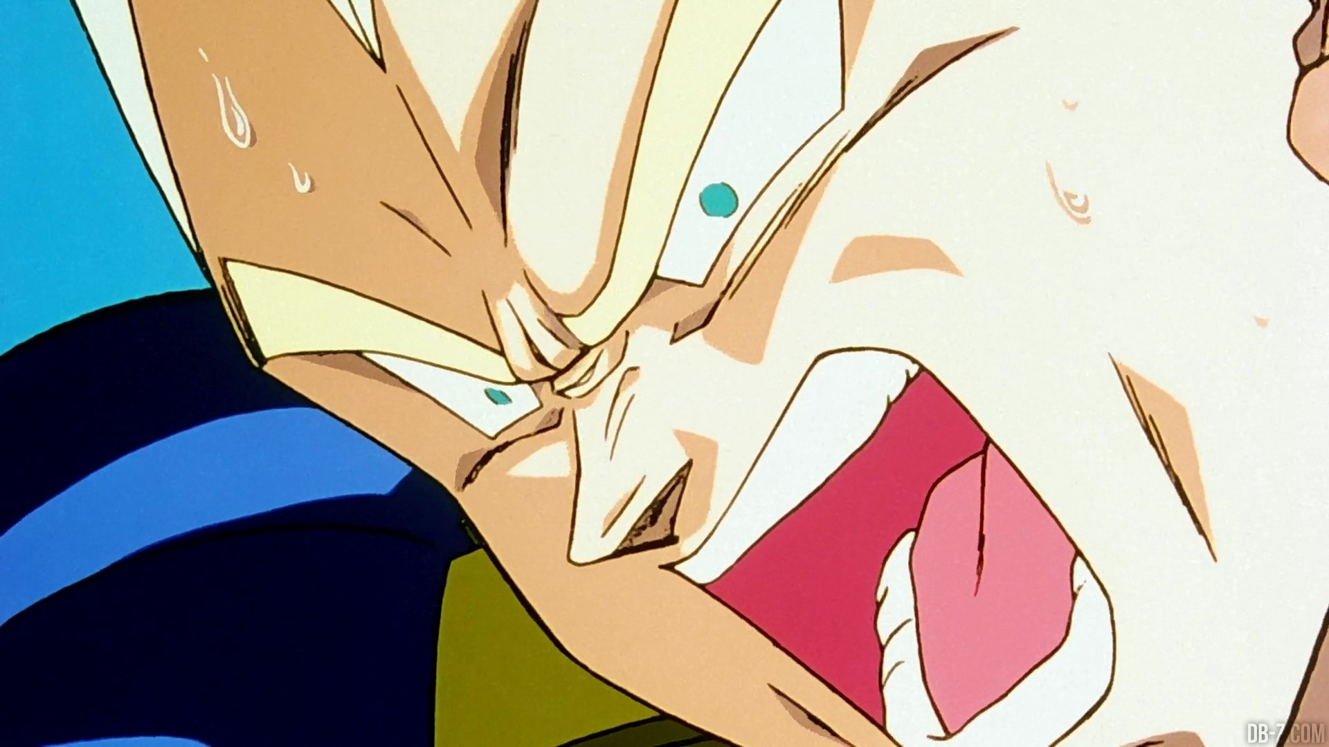 Final Flash Vegeta vs Cell 1