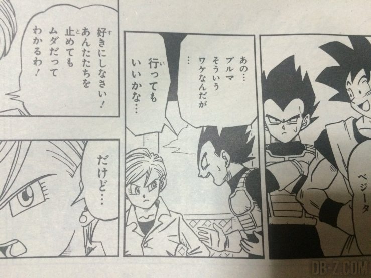 Dragon Ball Heroes Chapitre 15 a