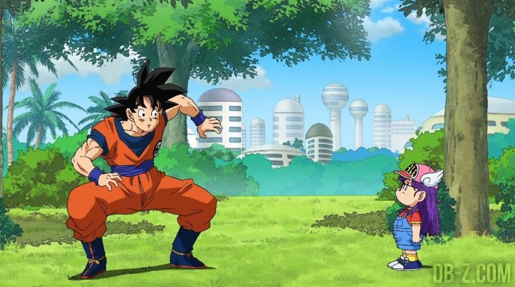 Dragon Ball Super : Goku & Arale