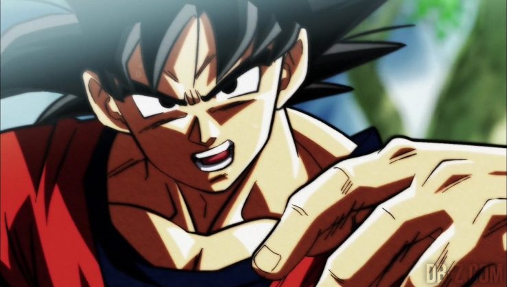 Dragon Ball Super Survie Univers Goku