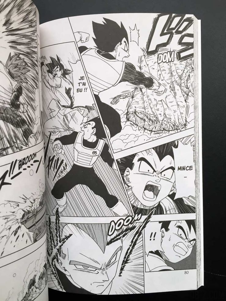 Dragon Ball Super Tome 1 - Extrait 2
