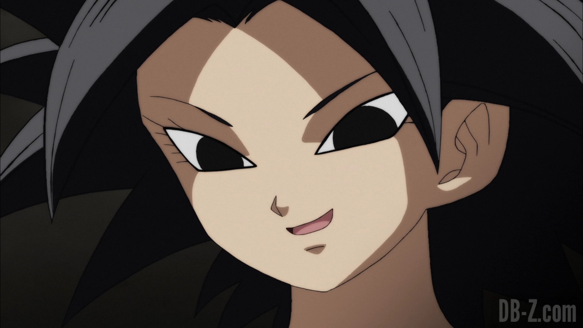 Dragon Ball Super Épisode 89 : L'Attaque du Dojo de Tenshinhan
