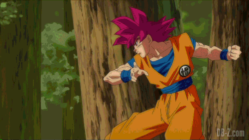 Goku Super Saiyan God vs Beerus GIF