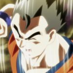 DBS 103[(025928)2017-08-13-09-29-31] Gohan