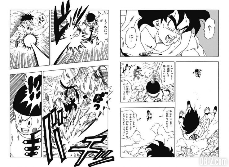 Dragon-Ball-Spinoff-Yamcha-chapitre-3-page-18-19