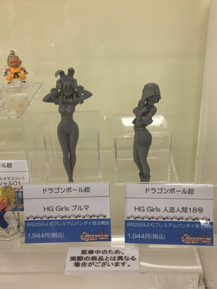 HG Girls Bulma & C-18