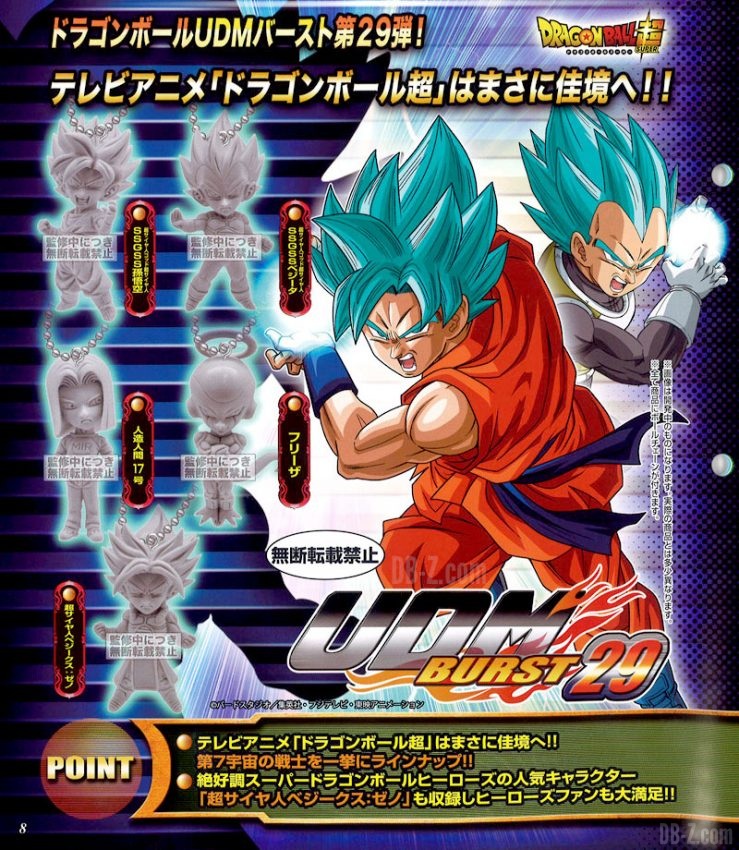 UDM Burst 29 (aperçu)