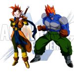 C-13 Tapion Xenoverse 2