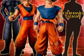 HG Dragon Ball Super Apogee Tournoi du Pouvoir