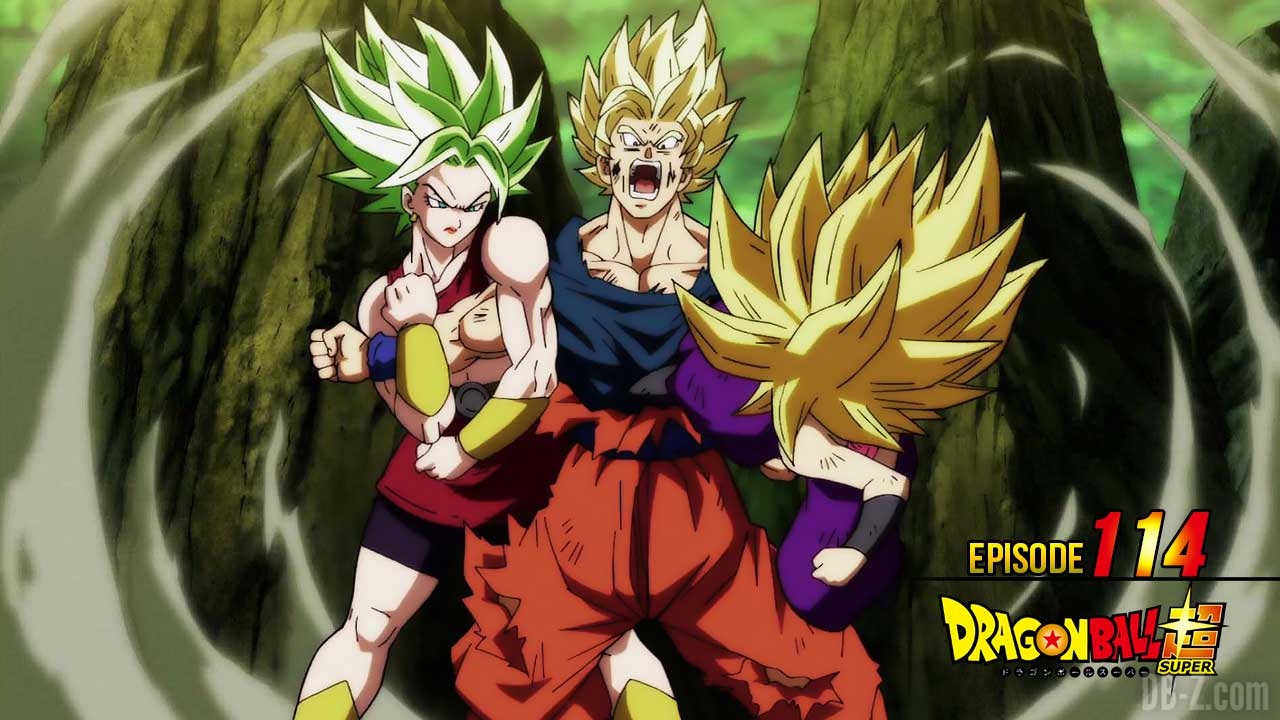 nombre d episode dragon ball