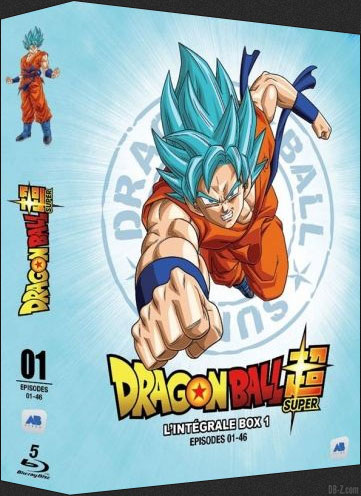 Coffret intégrale dragon ball [Francia] [DVD]