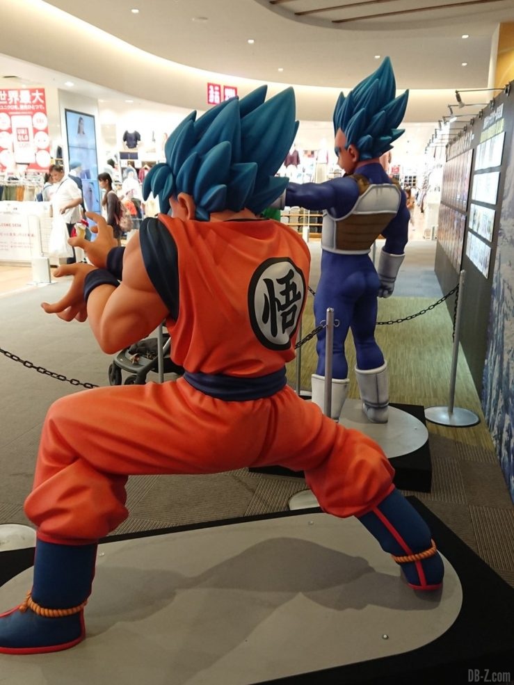 Statues de Goku et Vegeta