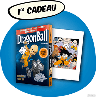 Dragon Ball Intégrale Grand Format Hachette - Cadeau 1