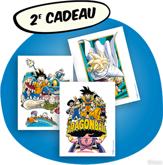 Dragon Ball Intégrale Grand Format Hachette - Cadeau 2