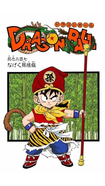 Gohan - cover du chapitre 207 Dragon Ball