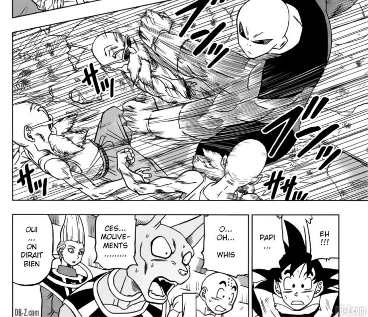 Kame Sennin Ultra Instinct