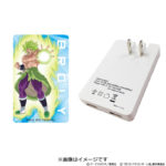 Adaptateur secteur USB Broly 2