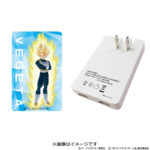 Adaptateur secteur USB Vegeta 2