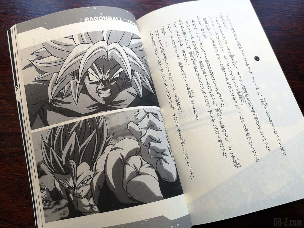 Light Novel Dragon Ball Super Broly