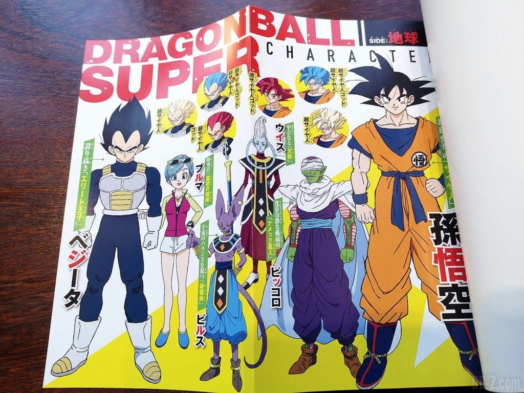 Light Novel Dragon Ball Super Broly