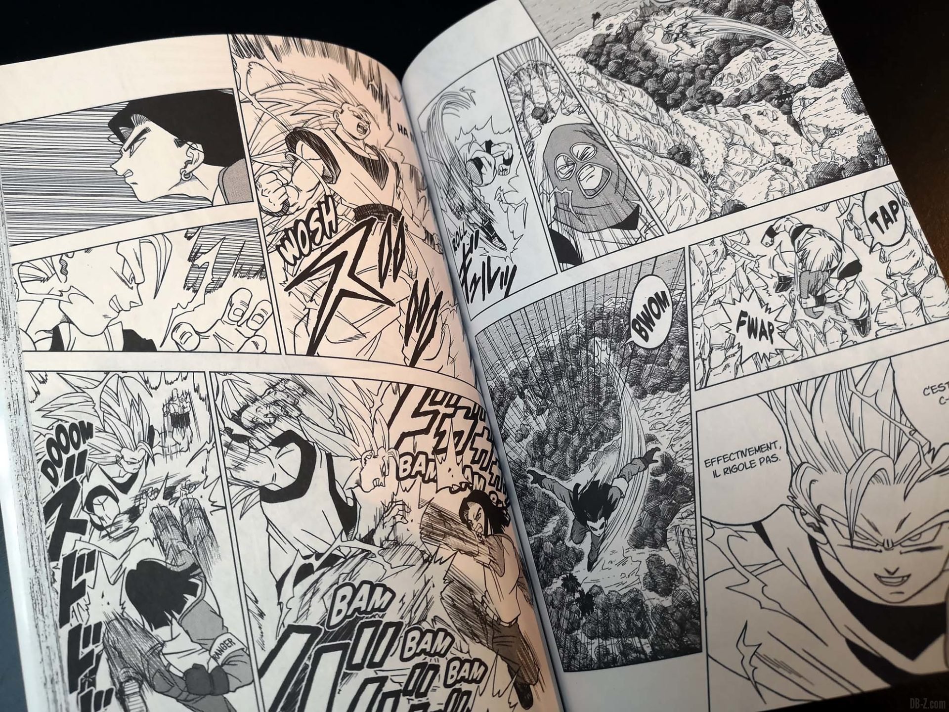 Dragon Ball Super Tome 6