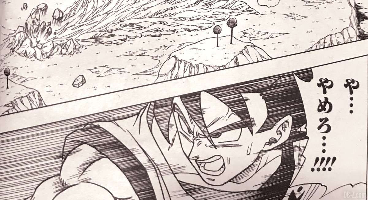 Dragon Ball Super CHAPITRE 46 : Encore des images