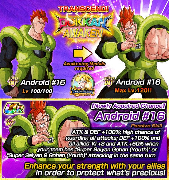 Dokkan Transcendent Awakening Surpassing the Strongest 3