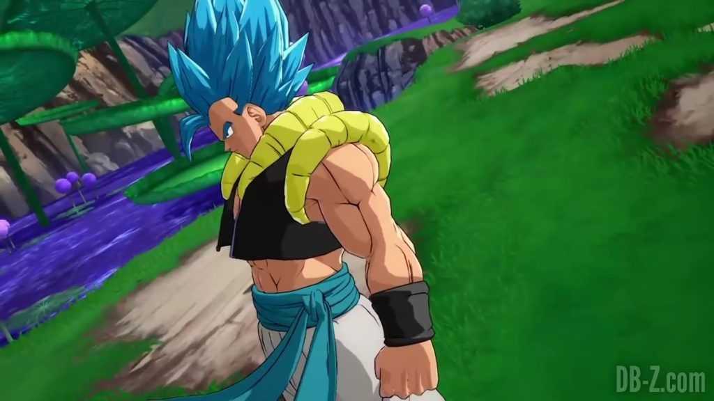 Dragon Ball FighterZ Gogeta SSGSS PS4 XB1 PC SWITCH0049972019 09 23 13 40 20