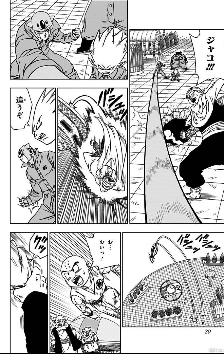 Dragon Ball Super Tome 12 Page 29