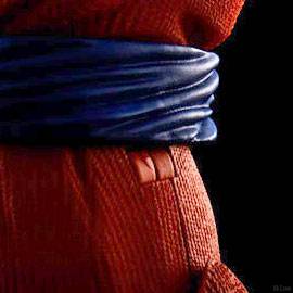 Articulation Imagination Works Goku