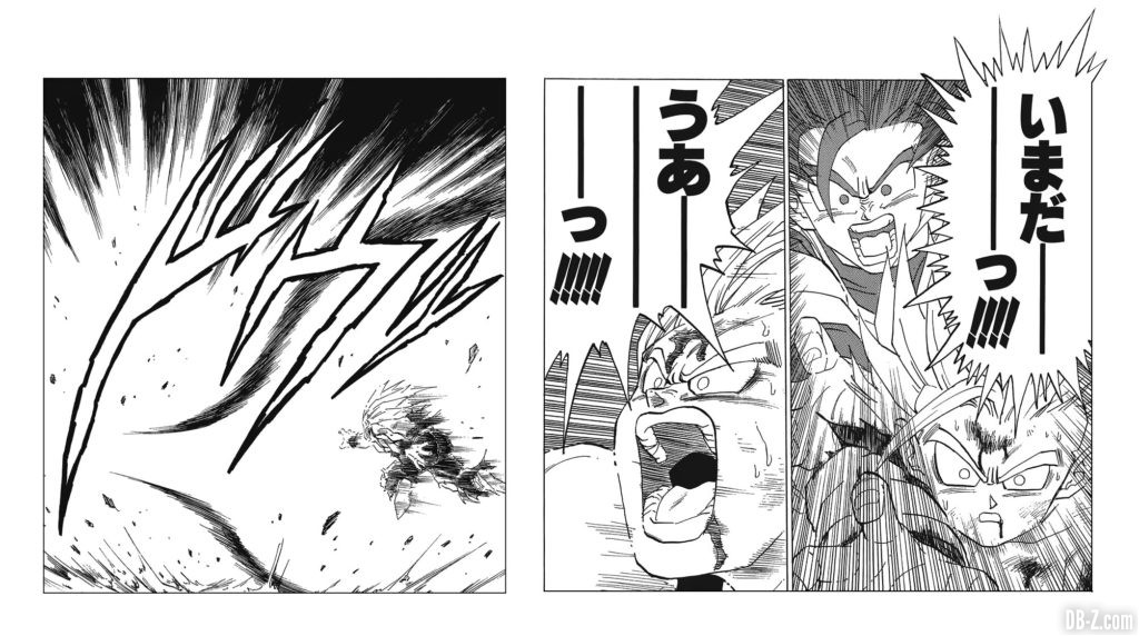 Kamehameha Pere fils Manga Dragon Ball