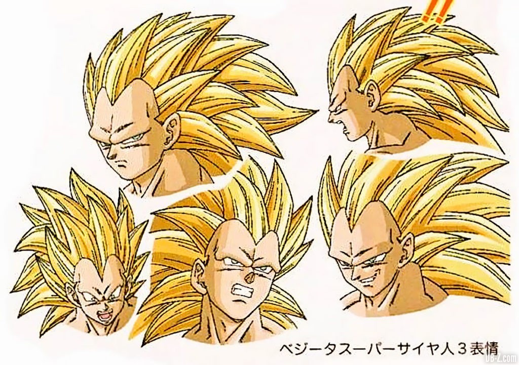Vegeta Super Saiyan 3 Raging Blast Tadayoshi Yamamuro