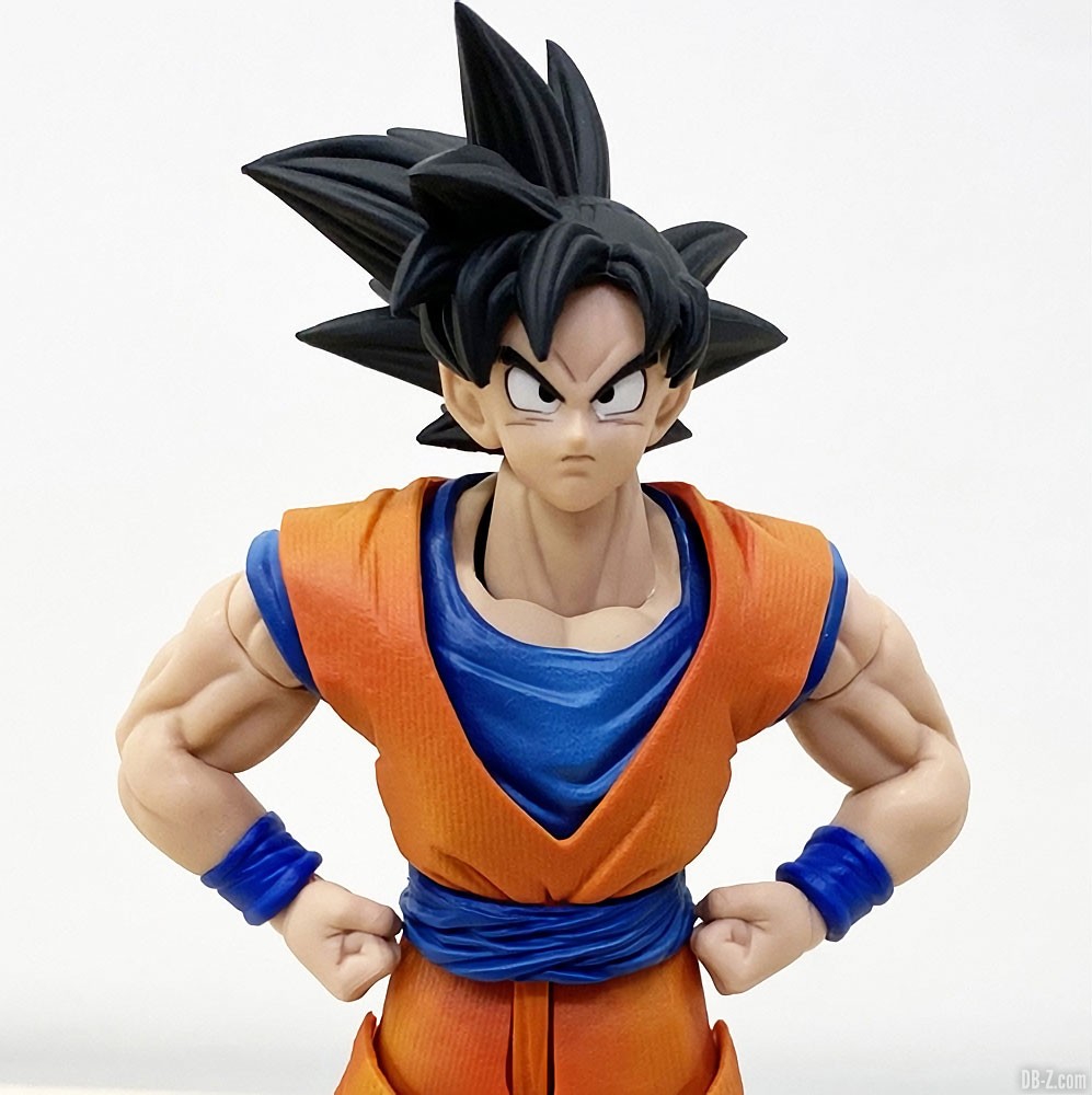 Imagination Works Son Goku Image 1