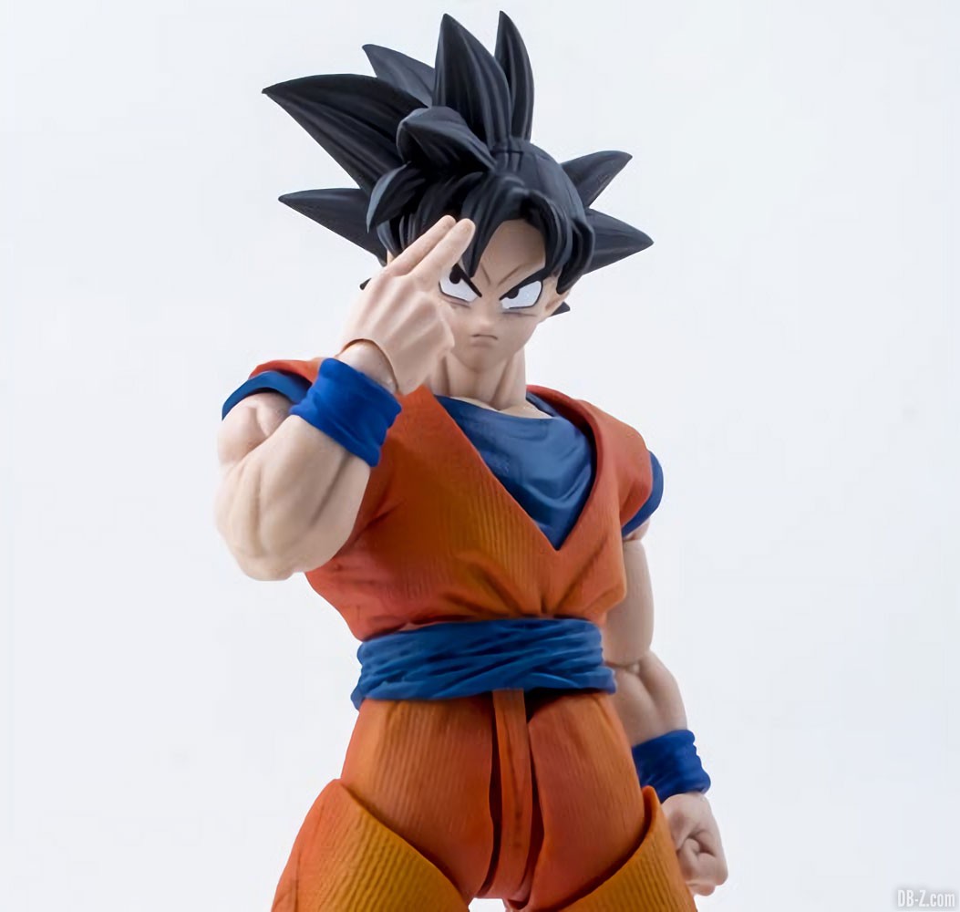 DRAGON BALL Z - Son Goku - Figurine articulée Imagination Works 18cm