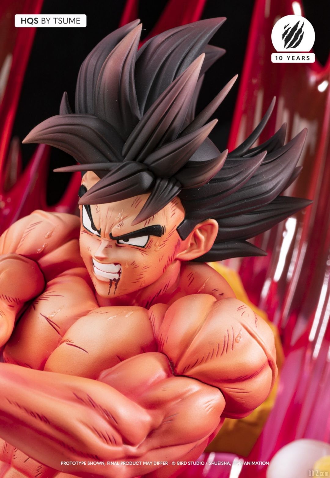 HQS Goku KaioKen Tsume Art Image 18