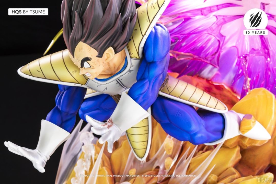 HQS Vegeta Galick Gun Tsume Art Image 07