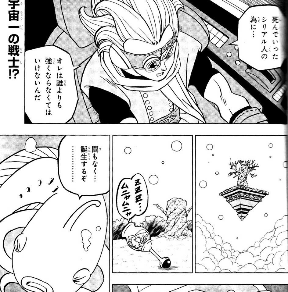 DBS Chapitre Premieres images 20