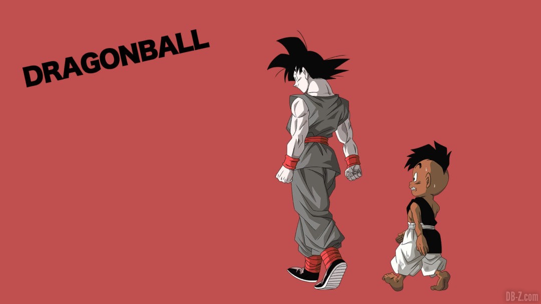 Xenoverse-2-Ecran-Chargement-56