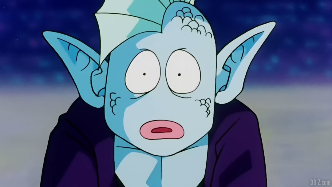 Acqua-anime-dragon-ball-z